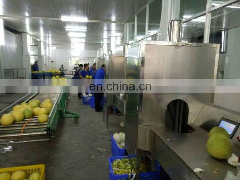 persimmon Peeling Machine Skiving Machine peeler industrial machine
