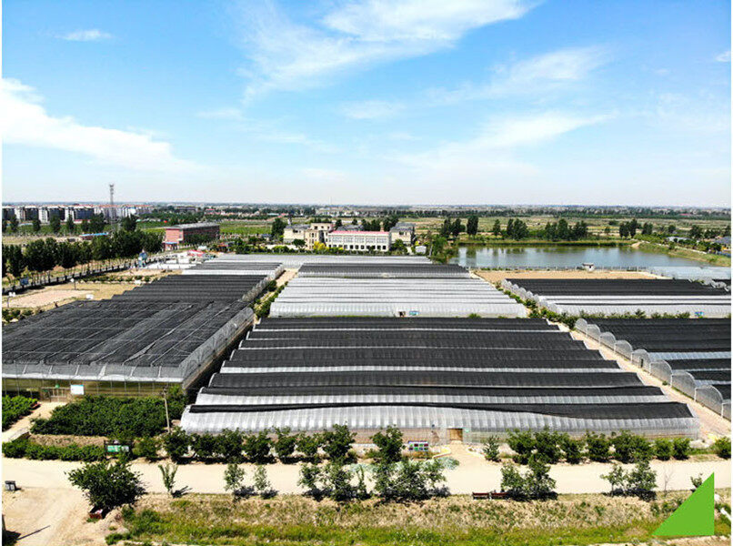 Hebei Dayu Seeds Co.,Ltd. company overview - view 4