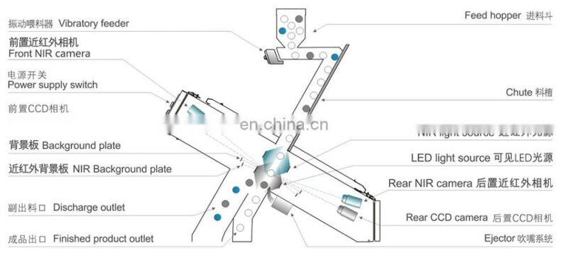 Dry fruits CCD color camera sorter grain selector sorting machine