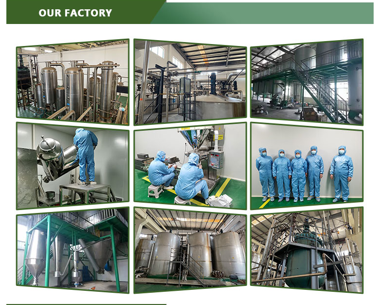 Nanjing Tessin Biotechnology Co., Ltd company overview - view 2