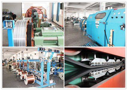 Shanghai Lansheng Special Cable Limited Company company overview - view 1