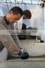 Donghai Tianmai International Trade Co., Ltd. company overview - view 3