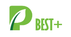 Best Plus Pulp Co., Ltd