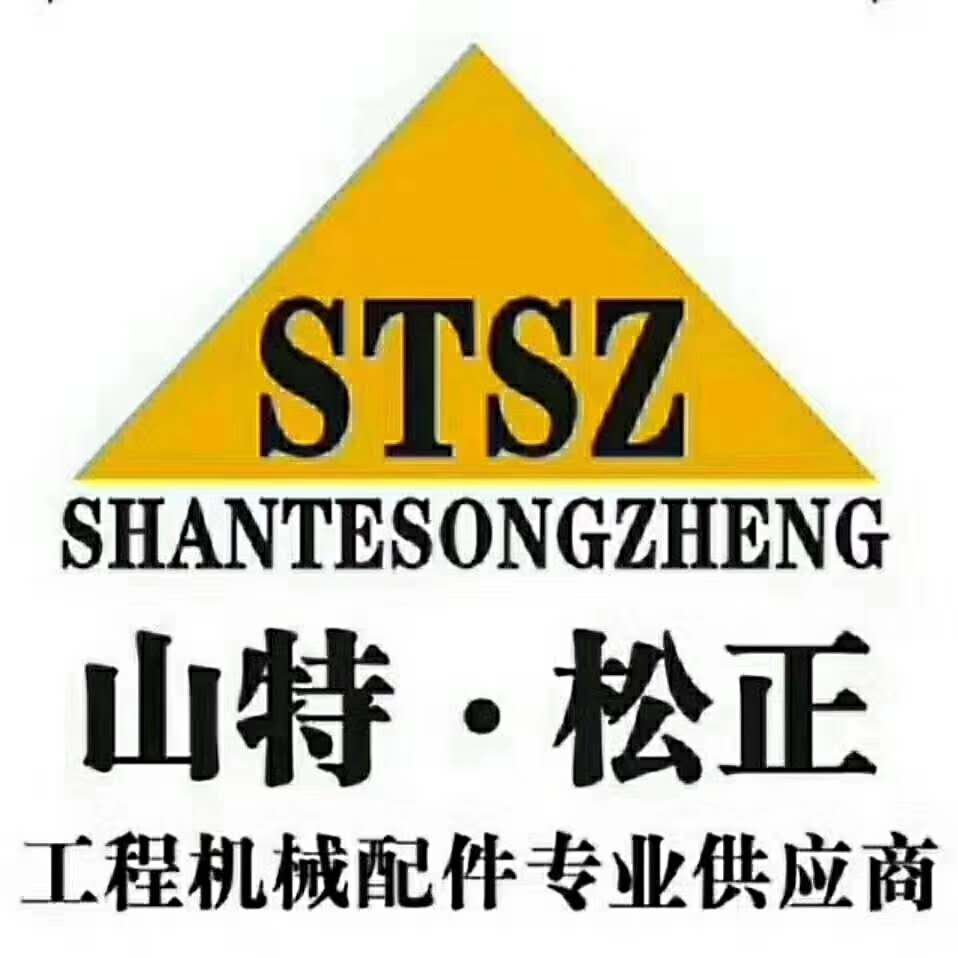 Jining Shan Te Song Zheng Construction Machinery Co. LTD