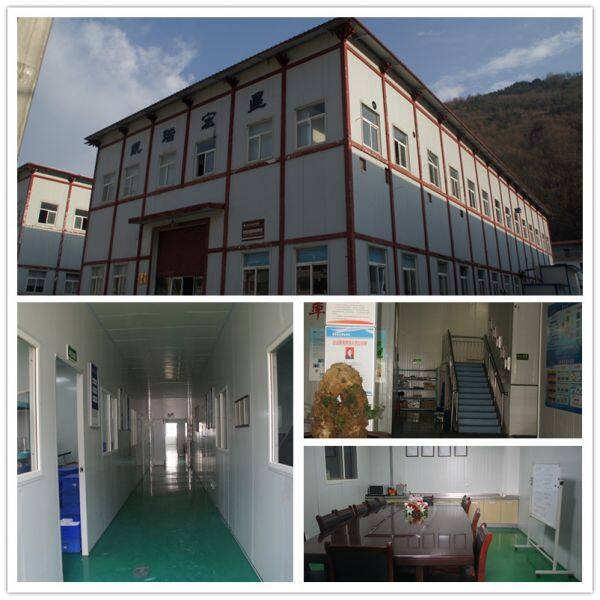 Shaanxi Kairuihongxing Electronic Co.,Ltd company overview - view 1