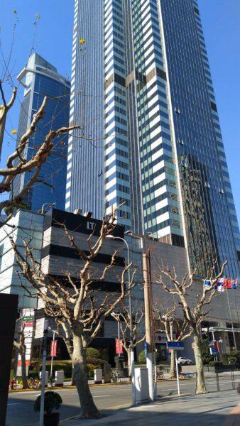 Maoheng (Shanghai) International Trade Co.,Ltd company overview - view 2