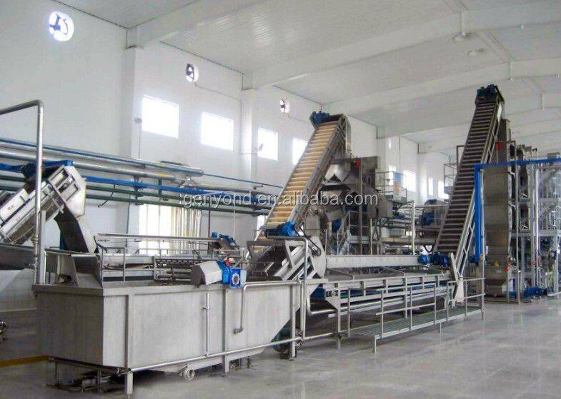 Canned Tomato Paste Processing Plant / Tomato Jam Production Line