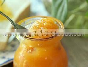 complete mango jam paste puree processing plant