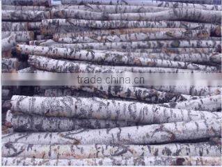 Cixi Yisheng Wood Co., Ltd. company overview - view 2