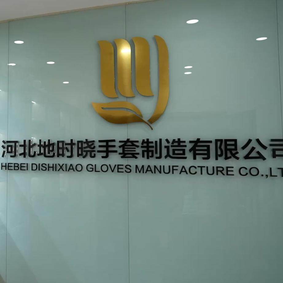 Hebei Dishixiao Gloves Manufacturing Co., Ltd. company overview - view 1