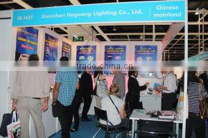 Shenzhen Heguang Lighting Co., Ltd. company overview - view 3