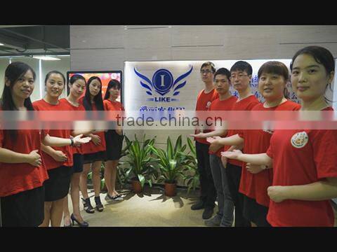 Shenzhen I-Like Fine Chemical Co., Ltd. company overview - view 1