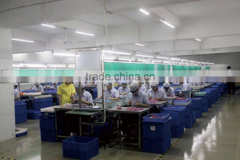 Shenzhen Jinlongxing Plastic Co., Ltd. company overview - view 2