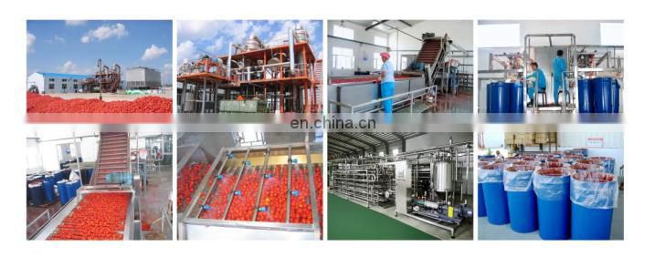 1T per hour concentrated tomato paste sauce production plant processing machines
