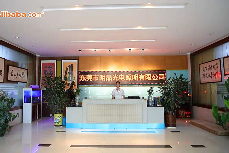 Dongguan Wonled Lighting Co., Ltd. company overview - view 1