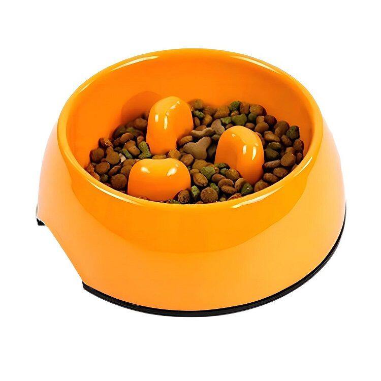 dog bowl (1).jpg