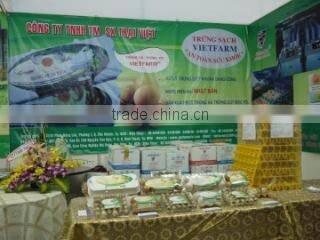 Vietfarm Co., Ltd company overview - view 3
