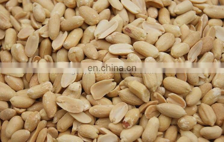 continuous soybean roaster/soya bean roasting machine/seed roaster