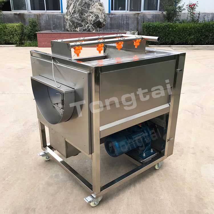 小型毛辊清洗机2.jpg