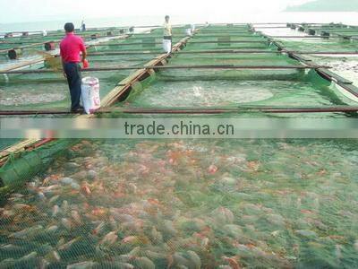 Eastline Food (Zhaoqing) Limited company overview - view 2