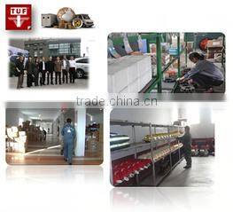 Chongqing Perpetual Import And Export Co., Ltd. company overview - view 2