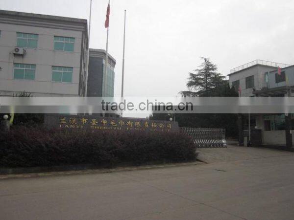 Lanxi Shengyu Towel Co., Ltd. company overview - view 2