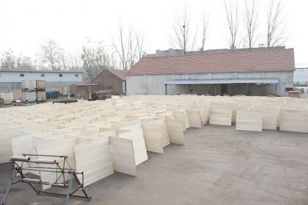 Dongming Sanxin Wood Industry Co.,Ltd company overview - view 4