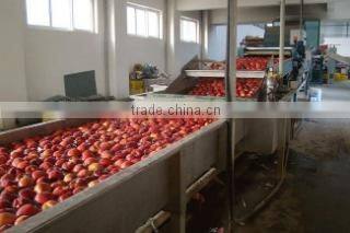 Tianshui Desun Fruits & Vegetables Import & Export Co., Ltd. company overview - view 3