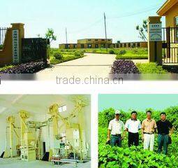 Beihai Green Kingdom Biology And Landscape-Creating Co., Ltd. company overview - view 1
