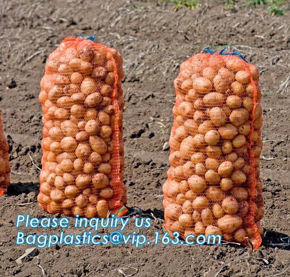 Yantai Bagease Packaging Bags Co.,ltd. company overview - view 3