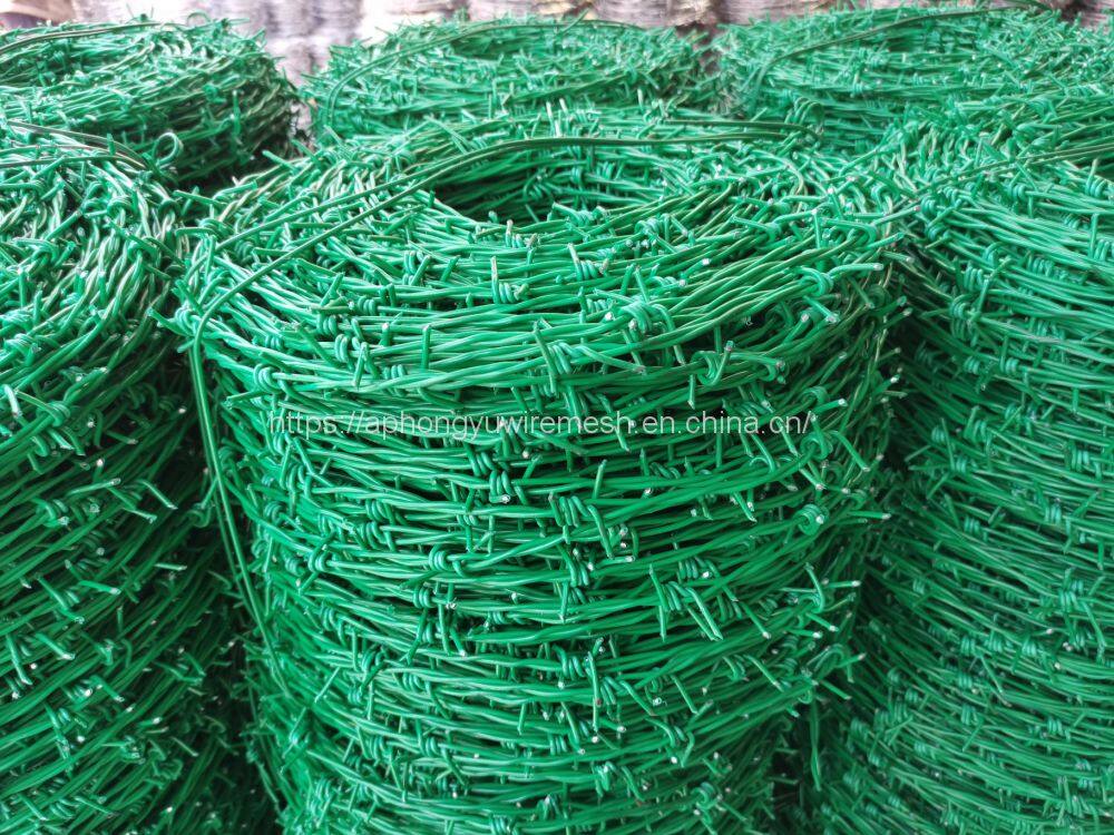 269236061_434195038374335_1166114354641340622_n