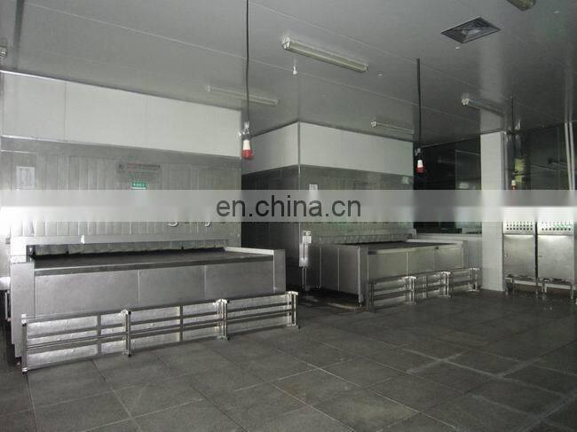 instant freezer/meat/food freezing machine 500kg/h
