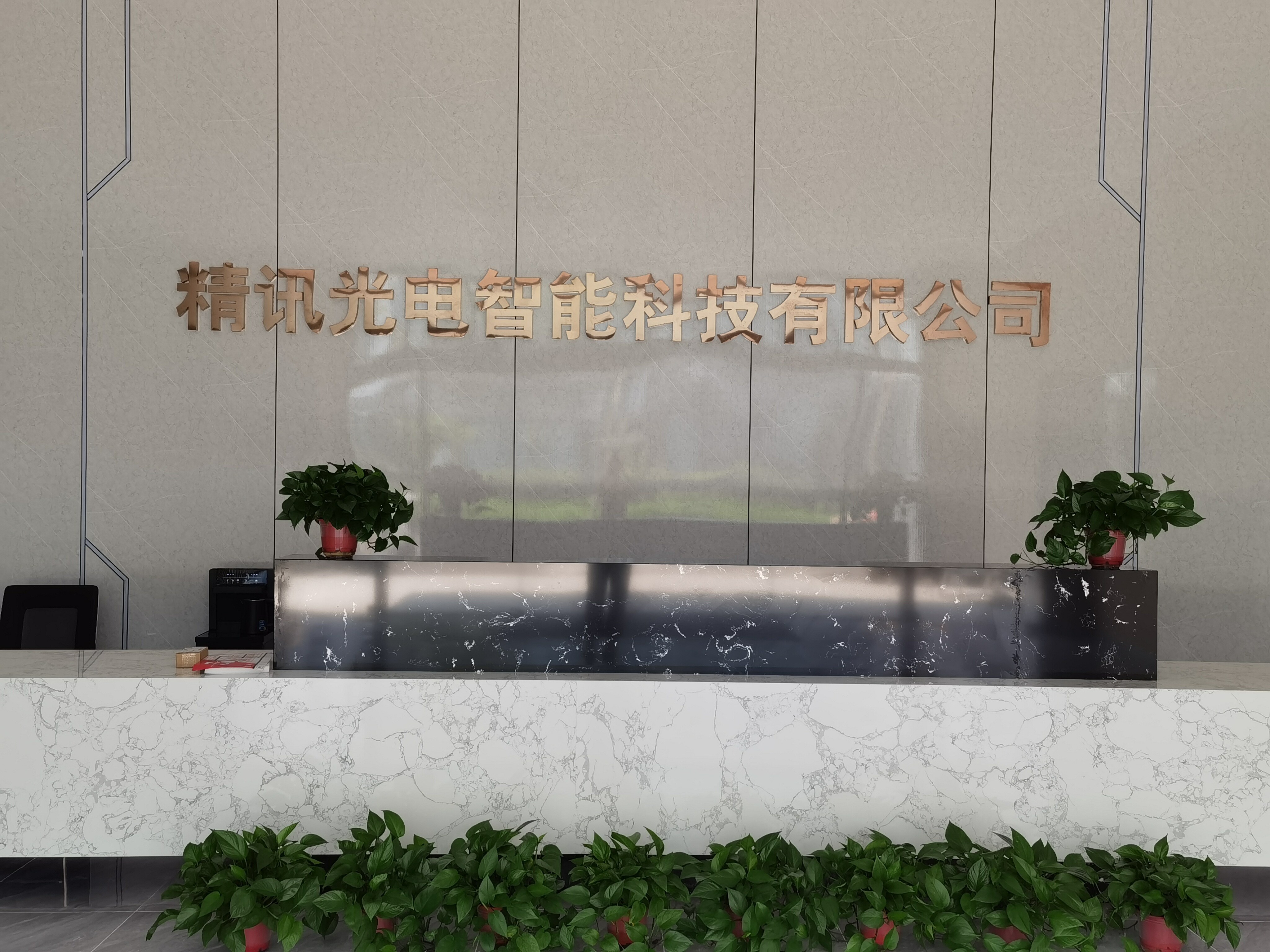 Jiangsu Jingxun Optoelectronic Intelligent Technology Co., Ltd company overview - view 1