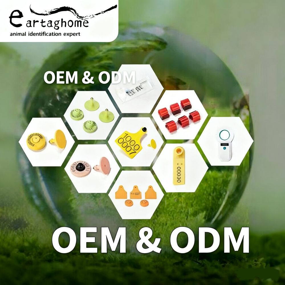 How to custom Ear Tags & RFID electronic tag for Cattle – livestock management