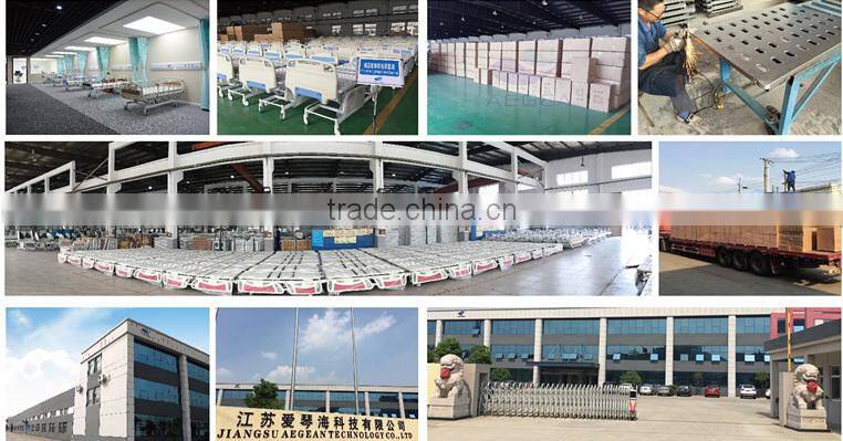 Jiangsu Aegean Technology Co., Ltd. company overview - view 1