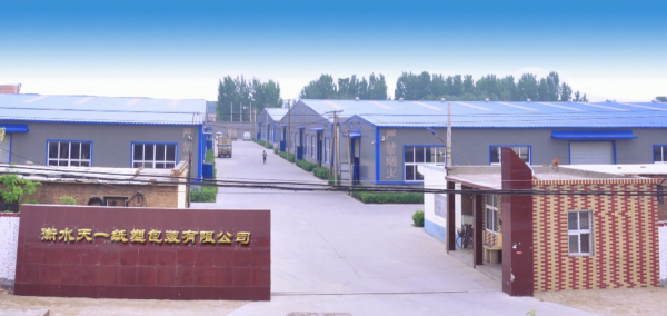 Tian Yi Paper And Plastic Package Co.,Ltd company overview - view 1