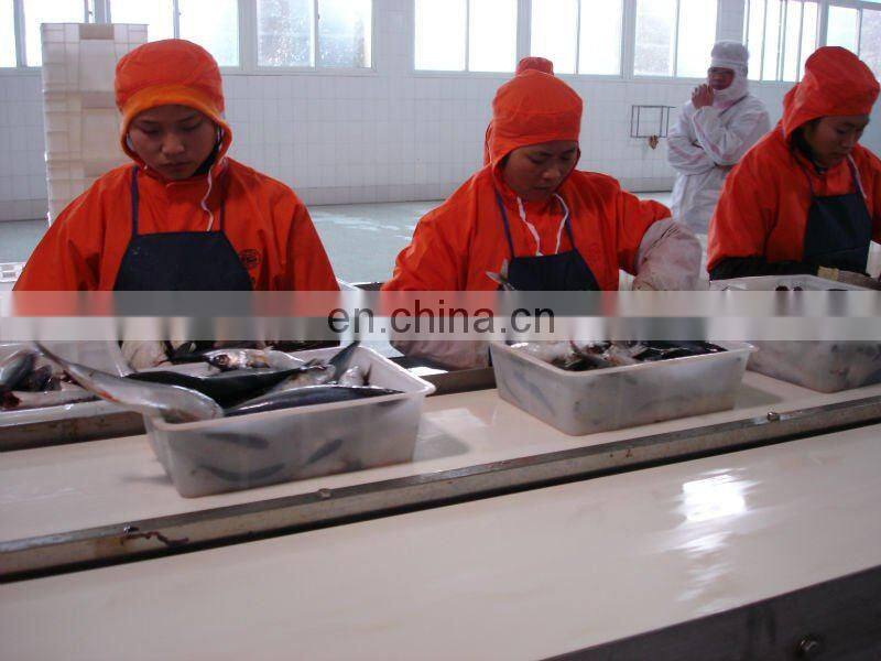 Automatic tomato sauced sardine canning machine / canned fish production line