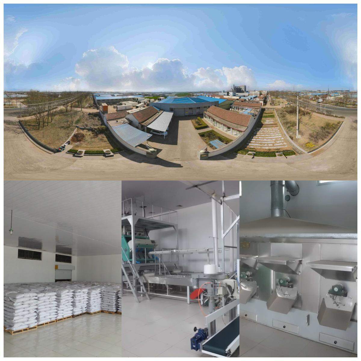 Junan Kaibing Cereals And Oils Foodstuffs Co.,ltd. company overview - view 1