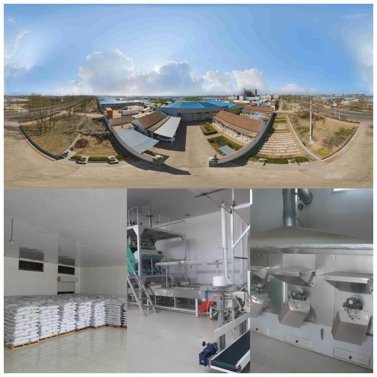 Junan Kaibing Cereals And Oils Foodstuffs Co.,ltd. company overview - view 1