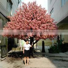 Guangzhou Shengjie Artificial Plants Ltd. company overview - view 1