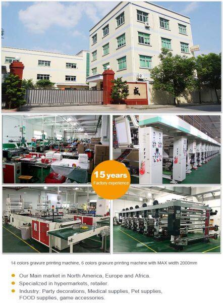 Dongguan Hengsheng Plastic Bag Co.,Ltd company overview - view 1