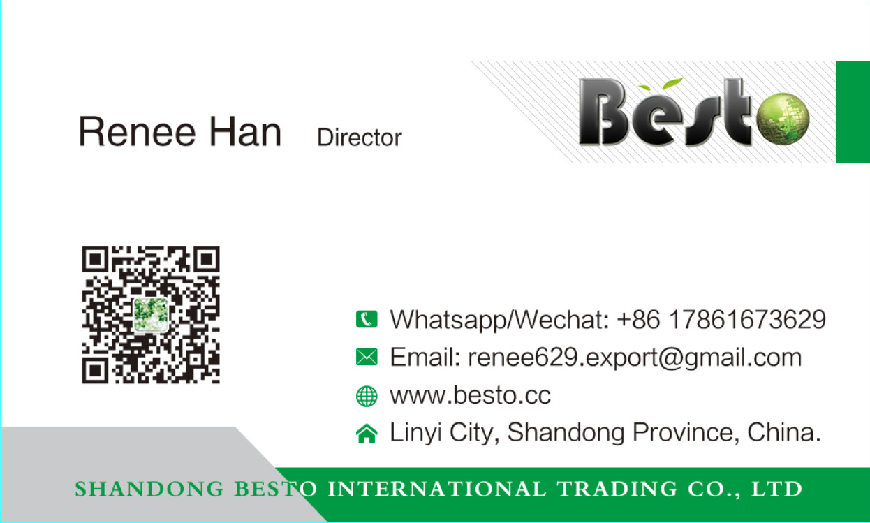 Shandong Besto International Trading Co.,Ltd company overview - view 1