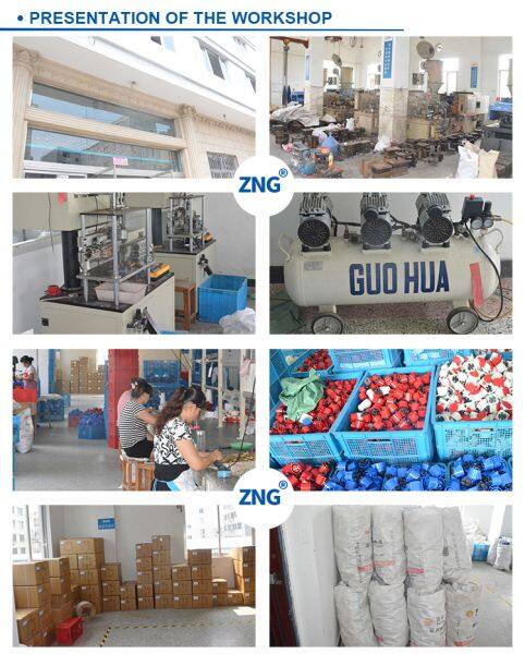 Wenzhou Zhegong Electric Co., Ltd company overview - view 2