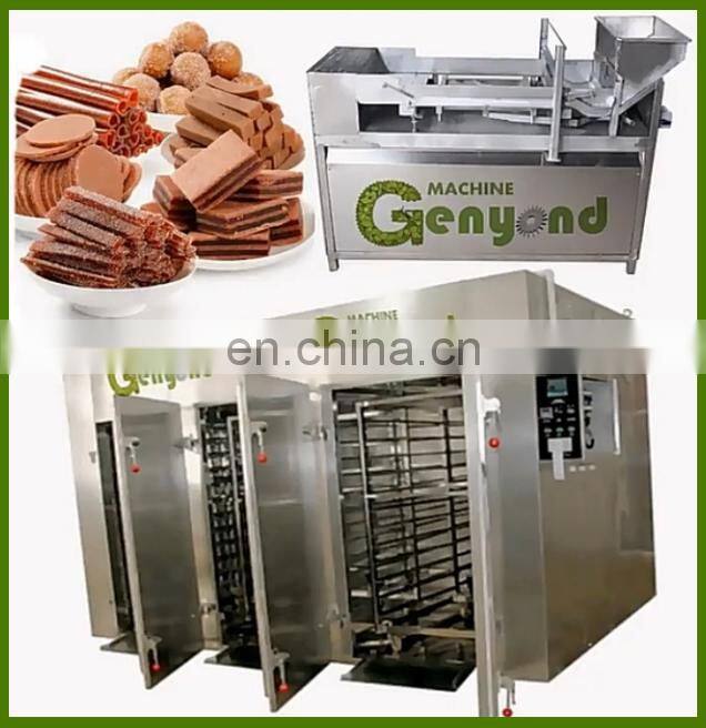 Factory Automatic fruit roll up scraping forming drying cutting making processing machine fruit leather production plant line