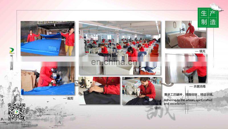 Baoding Xueruisha Feather And Down Products Co., Ltd. company overview - view 3