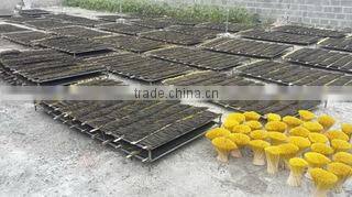 Viet Khoi Import Export Company Limited company overview - view 2