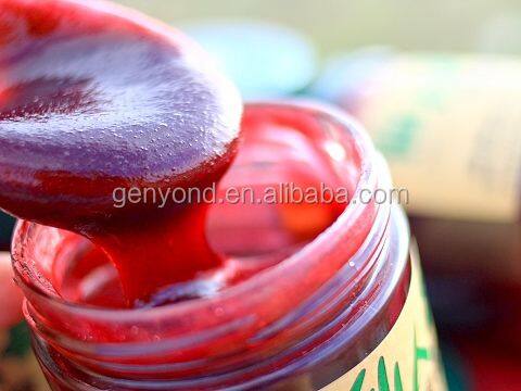 Factory Genyond Complete Prickly Pear Fruit Juice Paste Production Line / Prickly Pear Jam Processing Plant Making Machine