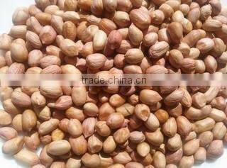 Qingdao Mingzhide International Trade Co., Ltd. company overview - view 3