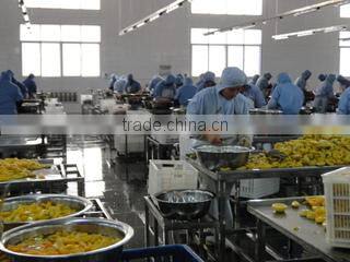 Qingdao Jutai International Trade Co., Ltd. company overview - view 1