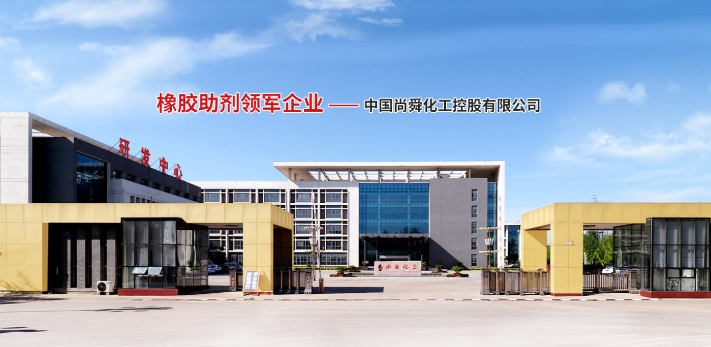 Shandong Sunsine Chemical Co., Ltd. company overview - view 1